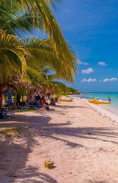 Playa Cayo Jutía